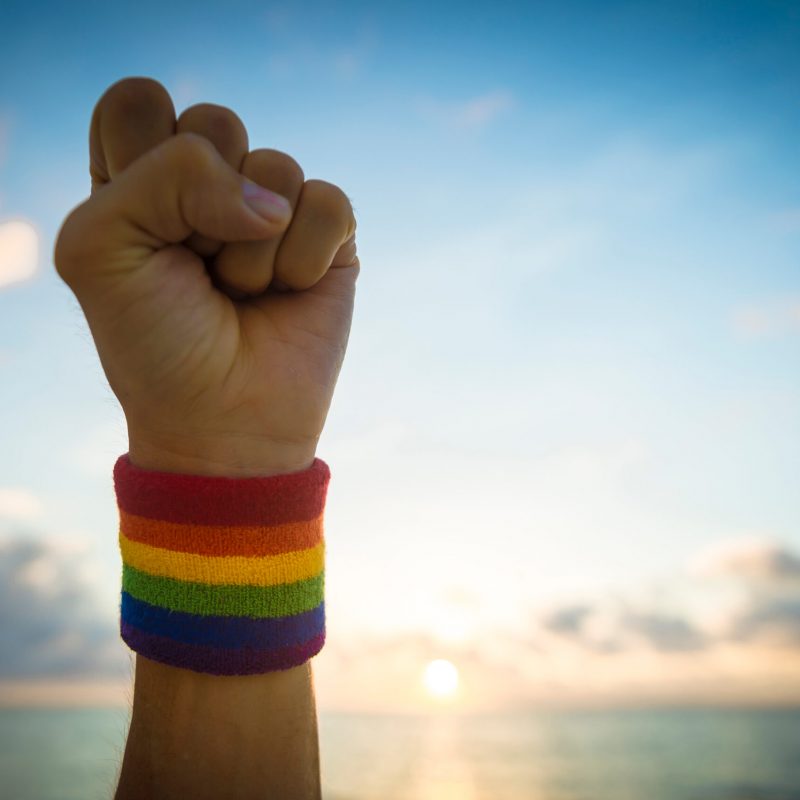 Advocacy fist LGBTQIA+ Advocacy Resources